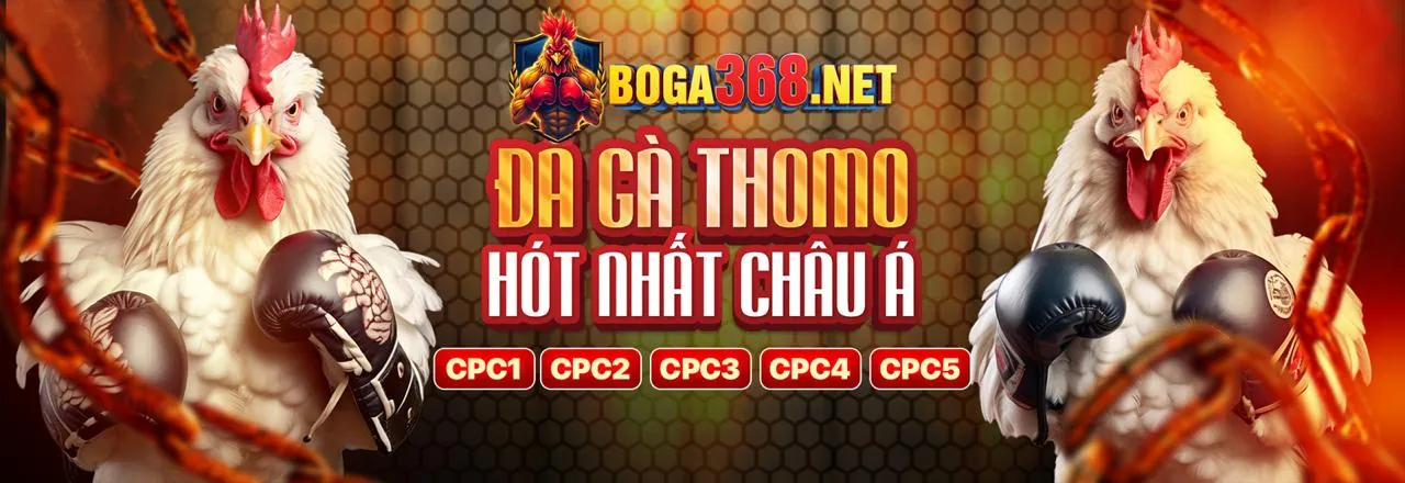 Đá Gà Trực Tuyến PKVIP88